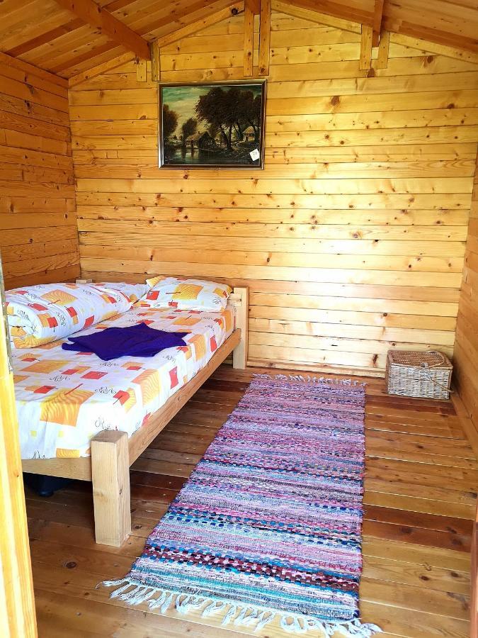 Retezat Retreat - Wood Cabin Clopotiva Extérieur photo
