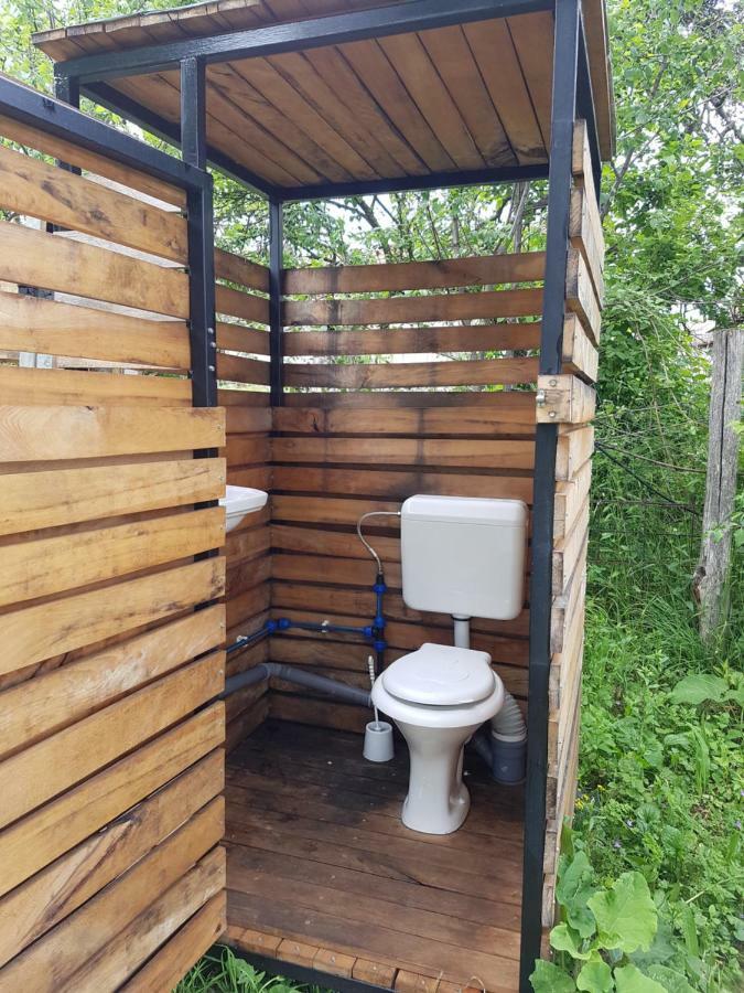Retezat Retreat - Wood Cabin Clopotiva Extérieur photo