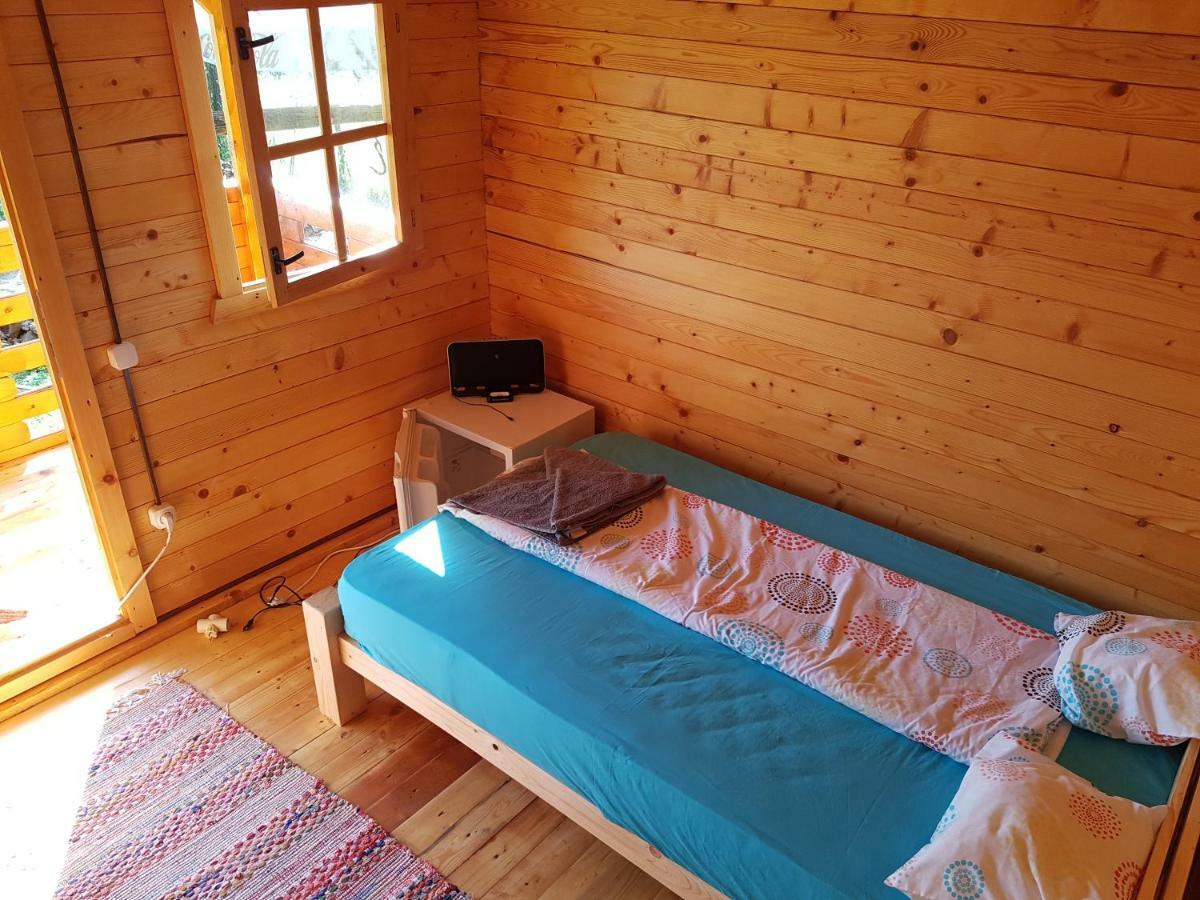 Retezat Retreat - Wood Cabin Clopotiva Extérieur photo