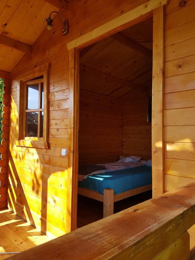 Retezat Retreat - Wood Cabin Clopotiva Extérieur photo
